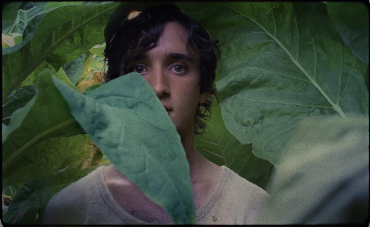 Alice Rohrwacher firma con Lazzaro Felice il suo film più ambizioso (e meno efficace)