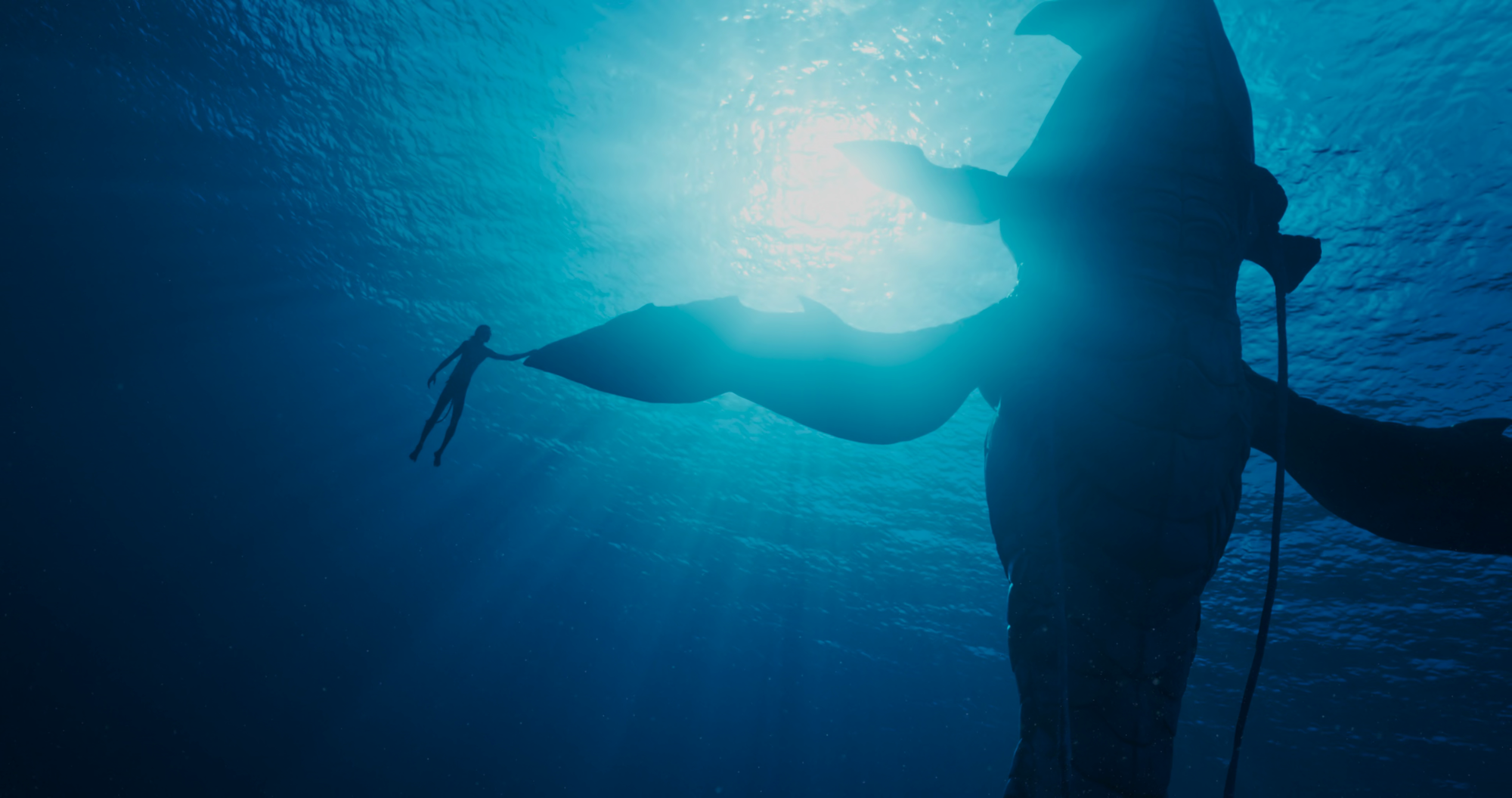 Avatar: La via dell’Acqua | un film dalla bellezza solitaria e inattuale