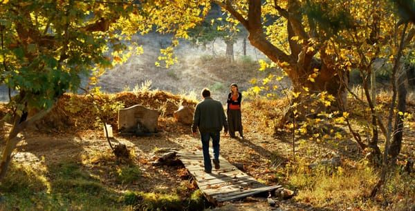 L’albero dei frutti selvatici, la cicatrice di ciò che poteva essere e non è stato