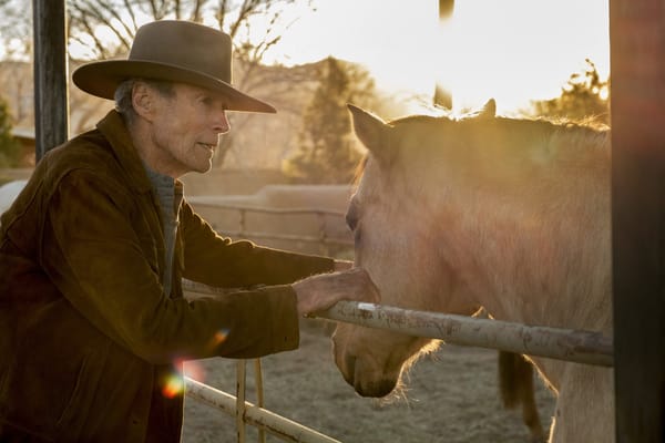 Cry Macho | il cinema di Clint Eastwood si fa digressione, un sospiro di sollievo che si espande